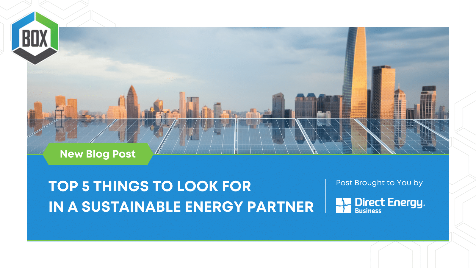 Top 5 Things to Look for in a Sustainable Energy Partner