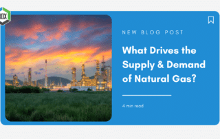 BOX What Drives the Supply & Demand of Natural Gas