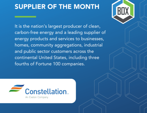 February 2024 Supplier of the Month – Constellation