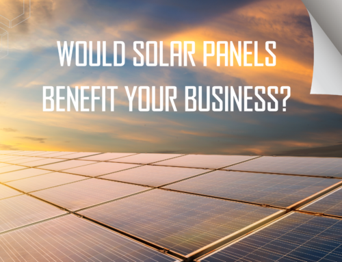 Harnessing the Sun: Are Solar Panels Right for Your Business?
